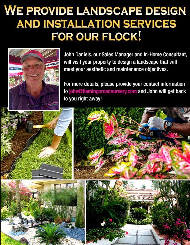 We provide landscape design and installation services for our flock” John Daniels, our Sales Manager and In-Home Consultant, will visit your property to design a landscape that will meet your aesthetic and maintenance objectives. For more details, please provide your contact information to john@flamingoroadnursery.com and John will get back to you right away!