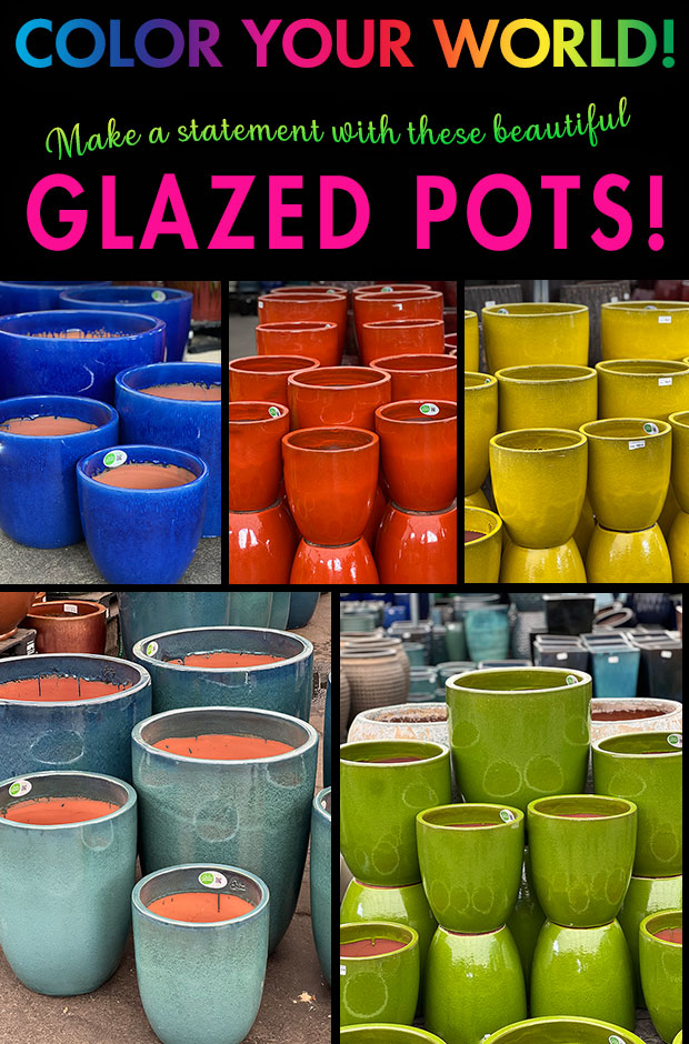 Color your world with beautiful COLORFUL glazed pots