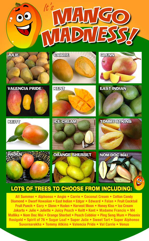 MANGO MADNESS! Over 40 varieties have just arrived!