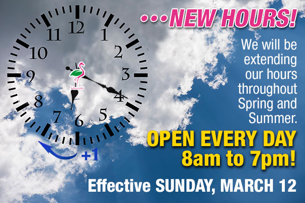 Time to Spring forward! Starting Sunday March 12 we will be open 8am to 7pm.