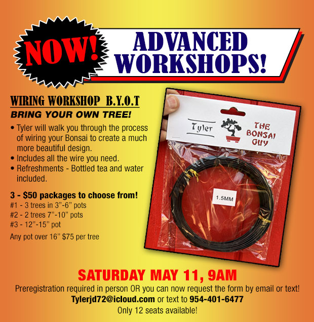 Bonsai advanced wiring workshop May 11th, register now!