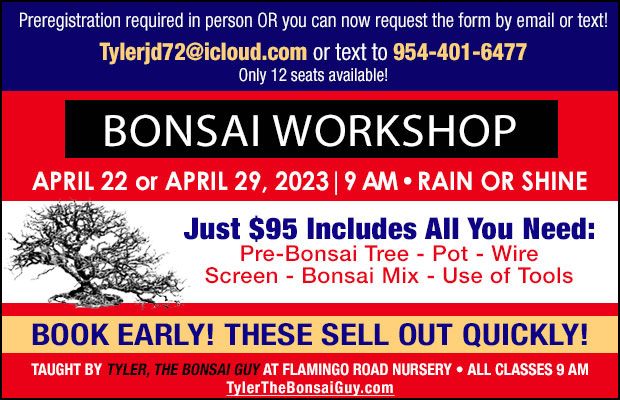 Bonsai workshop - April 22 or April 29, 2023 at 9 am. Just $95 includes everything you need to go home with your own Bonsai tree! Now you can register via email or text!