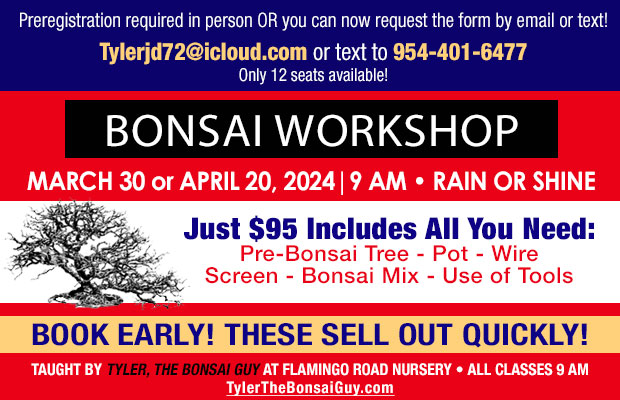 Bonsai workshop March 30 or April 20, 9 am. Register now!