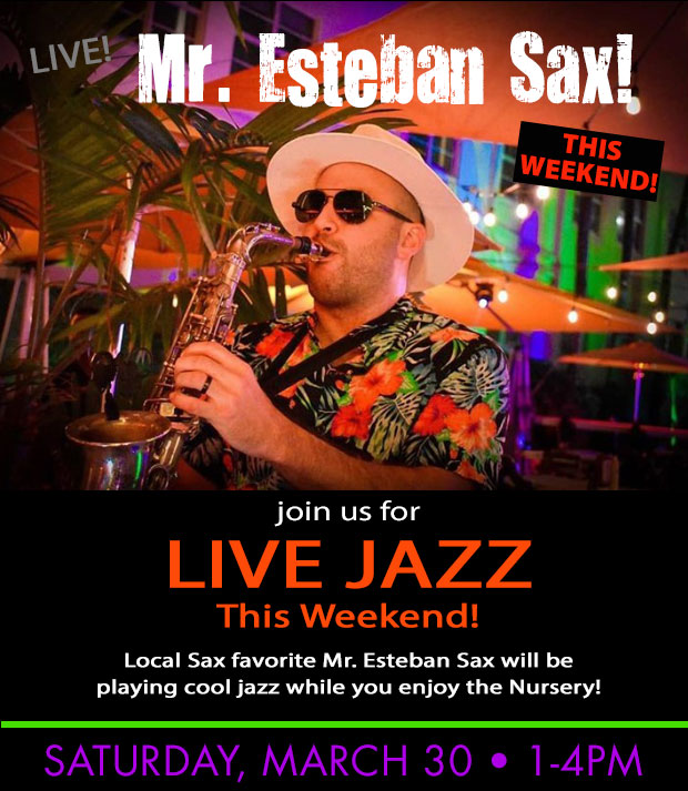 Mr. Esteban Sax this Saturday, 1 to 4 pm