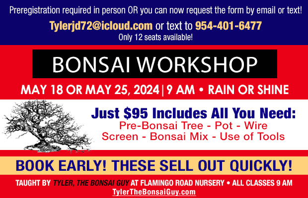 Bonsai workshop May 18 or May 25, 9 am. Register now!