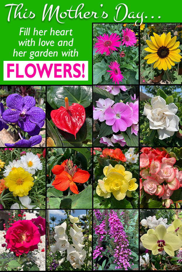 Fill her garden with flowers!