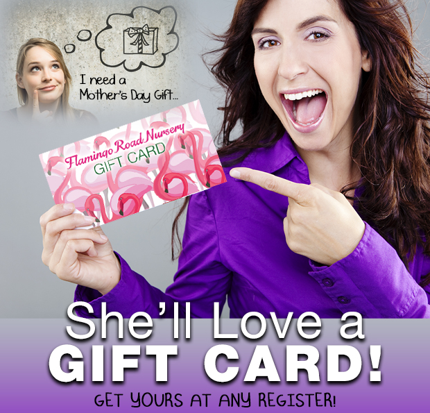 She'll love a gift card!
