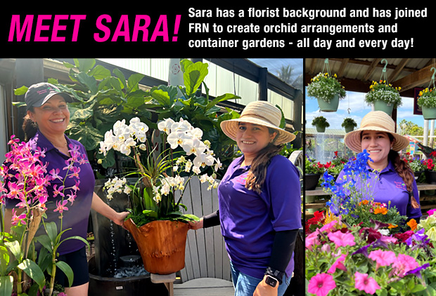 Sara can arrange any plants or flowers for you!