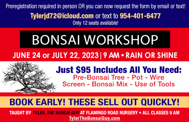 Bonsai workshop - June 24 or July 22, 2023 at 9 am. Just $95 includes everything you need to go home with your own Bonsai tree! Now you can register via email or text!