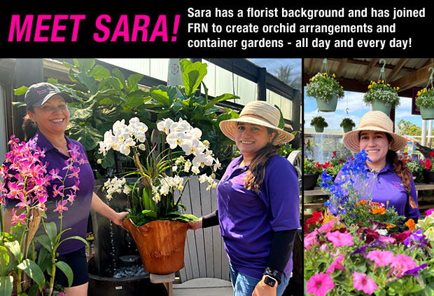 Meet Sara, our resident Florist. She will make beautiful arrangements for you!