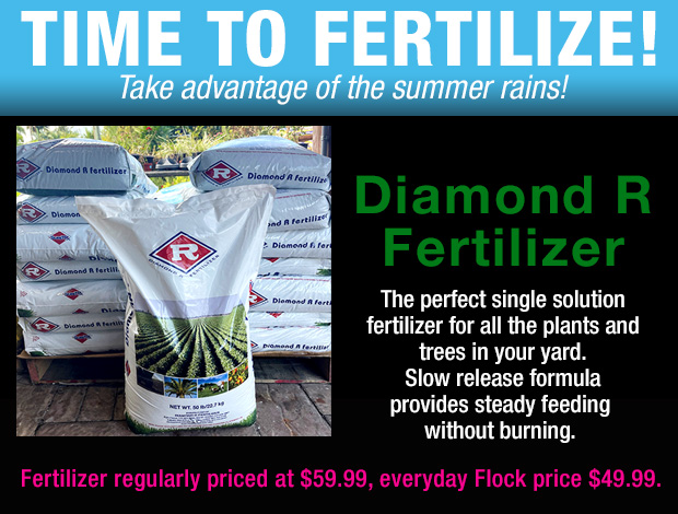 Time to fertilize with Diamond R 