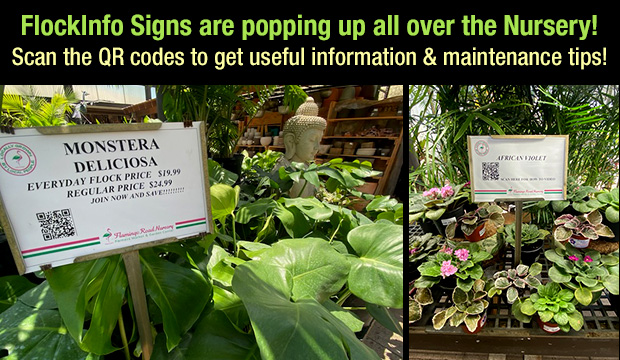 Scan our new QR codes on plant signs for useful info and maintenance tips.