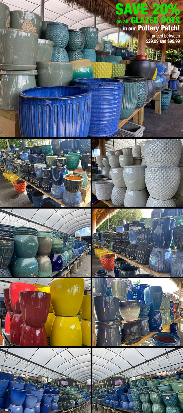 25% Off Glazed Pottery in our pottery patch!