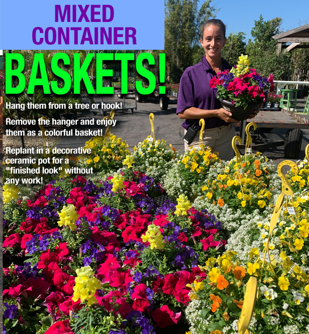 Mixed container baskets! Beautiful color for your home!