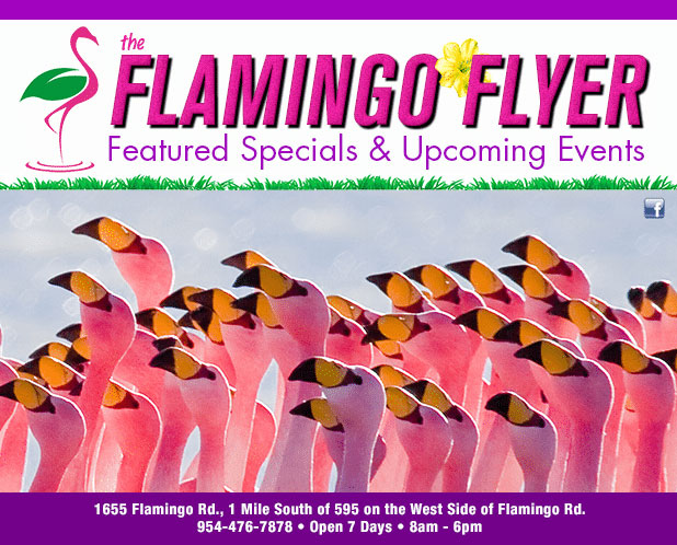 Welcome to the FLAMINGO FLYER!