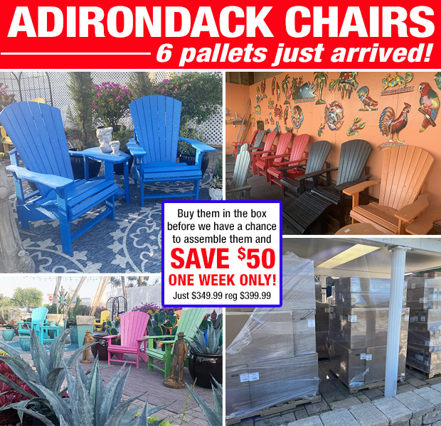 Adirondack Chairs! 6 pallets just delivered - take $50 off this week only when you assemble yourself!