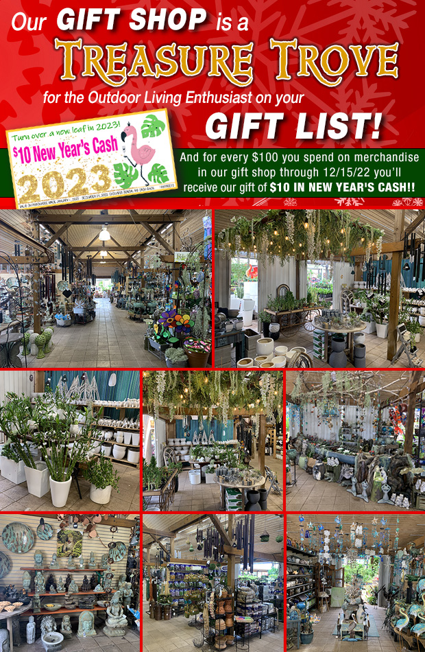Spend $100.00 in our Gift Shop through 12/15/22 and receive $10.00 New Year's Cash good ALL YEAR LONG!!!