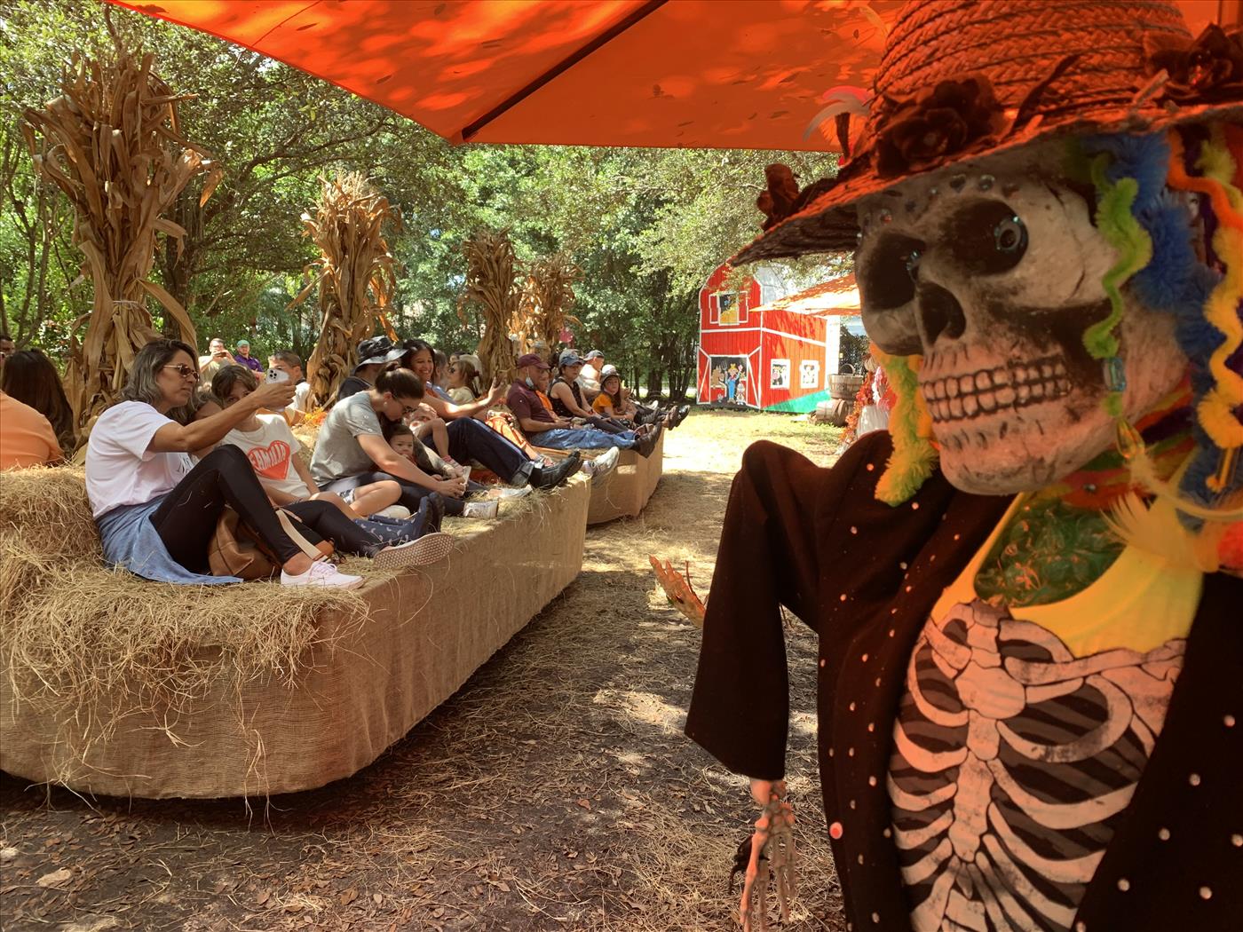 Flamingo Road Nursery β Fall Festival