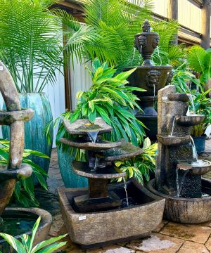 Fountains Flamingo Davie SFL
