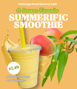 Website Cafe Features 26